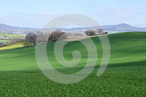 ThÃ¼r, Germany - 04 23 2021: Green wave shaped hills with a few towards Mendig