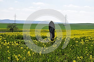 ThÃ¼r, Germany - 04 23 2021: a stone cross in the yellow oilseed fields