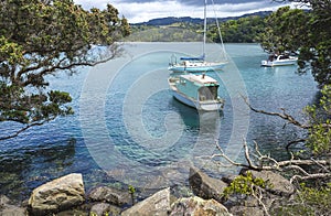 Ti Point Wharf New Zealand