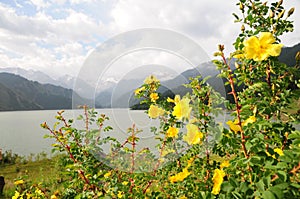 Tian shan mountain lake