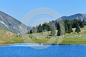 Tian-Shan scenery. Kyrgyzstan