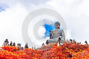 Tian Tan Buddha, Big Budda, The enormous Tian Tan Buddha at Po Lin Monastery in Hong Kong