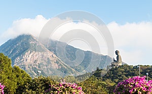 Tian Tan Buddha, Big buddha - the world`s tallest outdoor seated