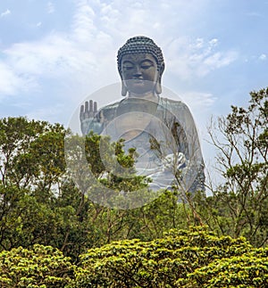 The Tian Tan Buddha statue is the large bronze Buddha statue. This also call Big Buddha located at Ngong Ping, Lantau Island, in