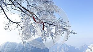 Tianmen Mountain, Zhangjiajie, Hunan, China, winter snow, smog, branches, red ribbons,