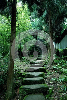 Tiantai Mountain paths