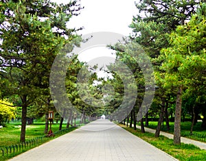 Tiantan park path