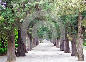 Tiantan park path