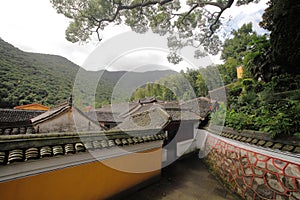 Tiantong temple photo