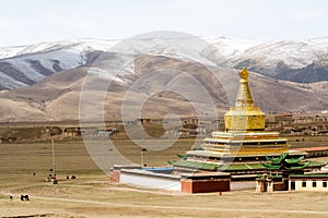 Tibet