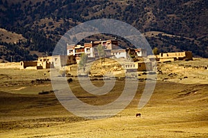 Tibet altiplano photo