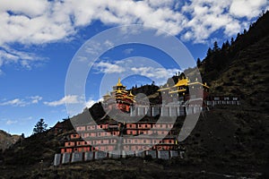 Tibet- Buddhism academy photo