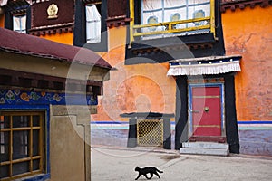 Tibet: buildings in jokhang temple