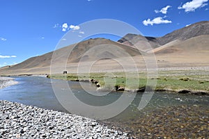 Tibet, China. Tibetan plateau, river Ind in the summer