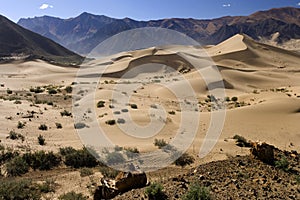 Tibet - Desert Dunes - China