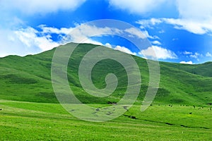 Tibet GanNan's Mountain