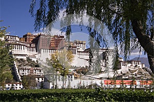 Tibet - Potala Palace in Lhasa photo