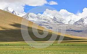 Tibet scenery