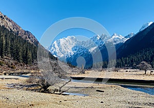 Tibet scenery,Snow Mountain and Ranch, Secret Realm