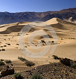 Tibet - Tibetan Plateau - Desert Sand Dunes