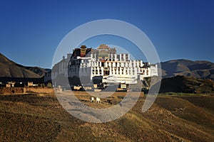 Tibet-ZangDan Temple