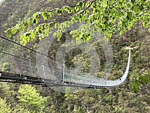 Tibetan bridge Carasc or Ponte Tibetano Valle di Sementina or Tibetische Brucke Carasc, Monte Carasso