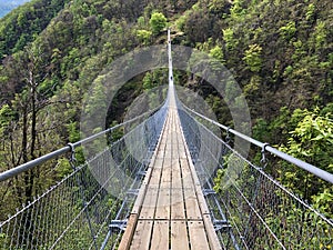 Tibetan bridge Carasc or Ponte Tibetano Valle di Sementina or Tibetische Brucke Carasc, Monte Carasso photo