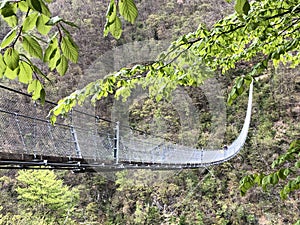 Tibetan bridge Carasc or Ponte Tibetano Valle di Sementina or Tibetische Brucke Carasc, Monte Carasso photo