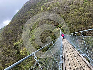 Tibetan bridge Carasc or Ponte Tibetano Valle di Sementina or Tibetische Brucke Carasc, Monte Carasso photo