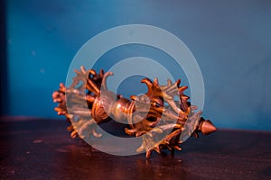 Tibetan Buddhist Dorje vajra ceremonial item on wooden table on blue background