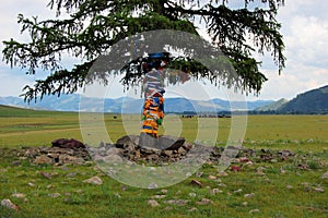 Tibetan Buddhist prayer flags around tree