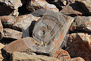 Tibetan Buddhist stone with mantras
