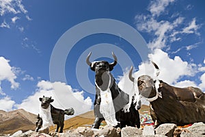 Tibetan bull statue photo