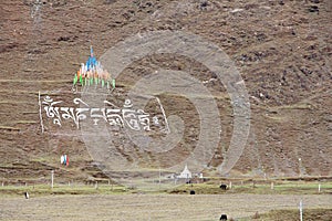 Tibetan hillside