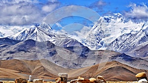 Tibetan Himalayas view