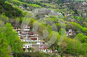 Unique tibetan architecture in spring