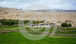 Tibetan houses at small village in Leh, India