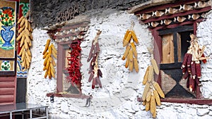 Tibetan hung on the wall of corn and peppers