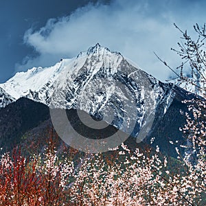 The Tibetan landscape