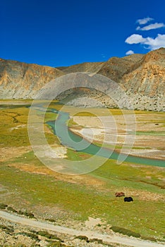 Tibetan landscape