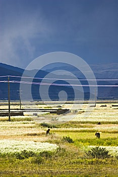 Tibetan Landscape