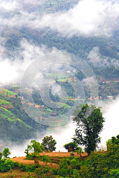 Tibetan landscape