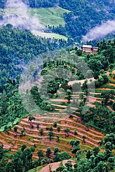 Tibetan Landscape