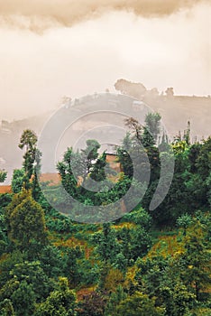 Tibetan landscape