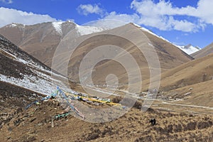 Tibetan landscape in China with prayer flags on foreground and mountains and yaks on background