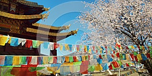 Tibetan monastery in shangri-la