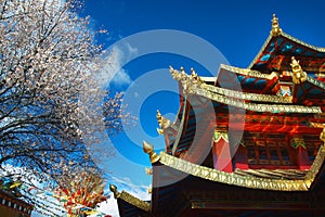 Tibetan monastery in shangri-la