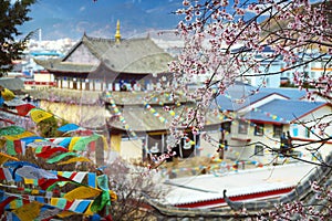 Tibetan monastery in shangri-la