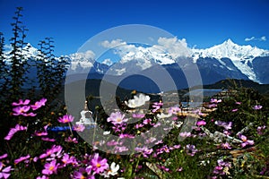 Tibetano pellegrinaggio montagna 