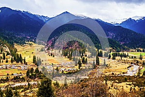 Tibetan plateau scene-Lu Lang Zhen(Lulang town)